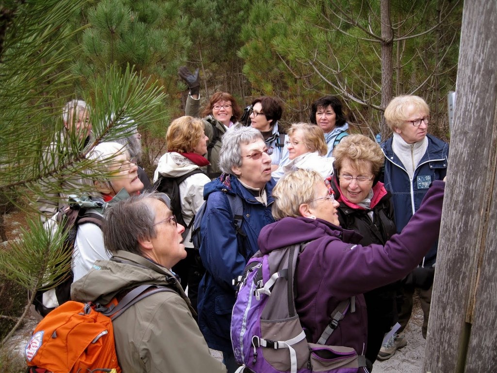 Des Champs Aux Bois. Plailly Oise, 19-03-2015