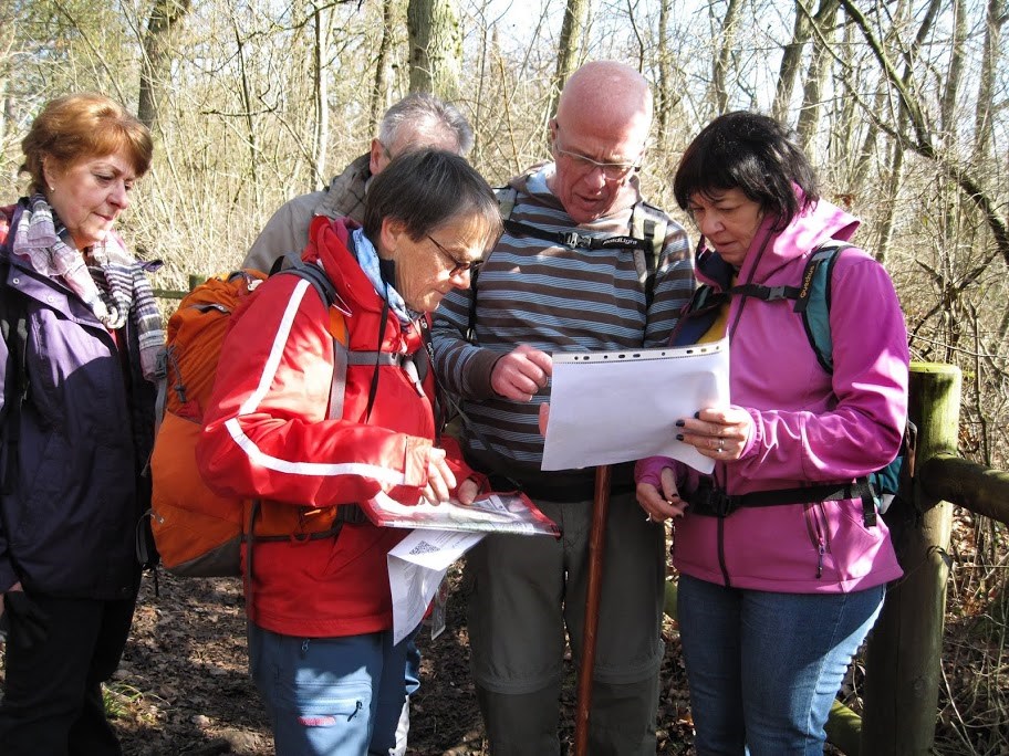 En Forêt De L'Isle Adam, 10-03-2016