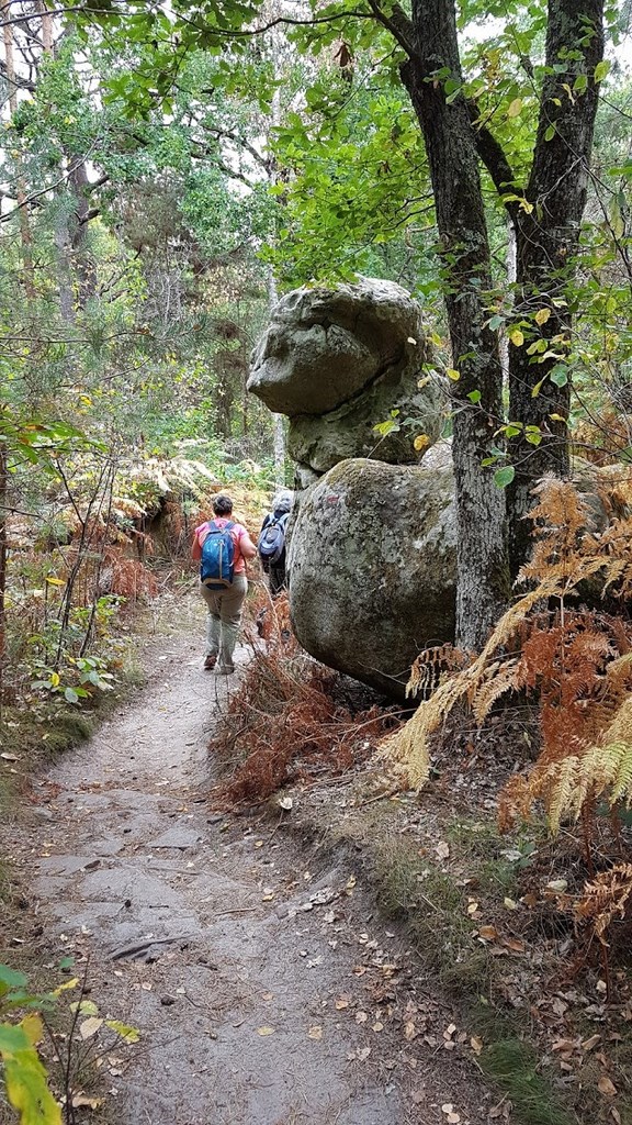 Vaudoué, forêt de Fontainebleau, 20-09-2018