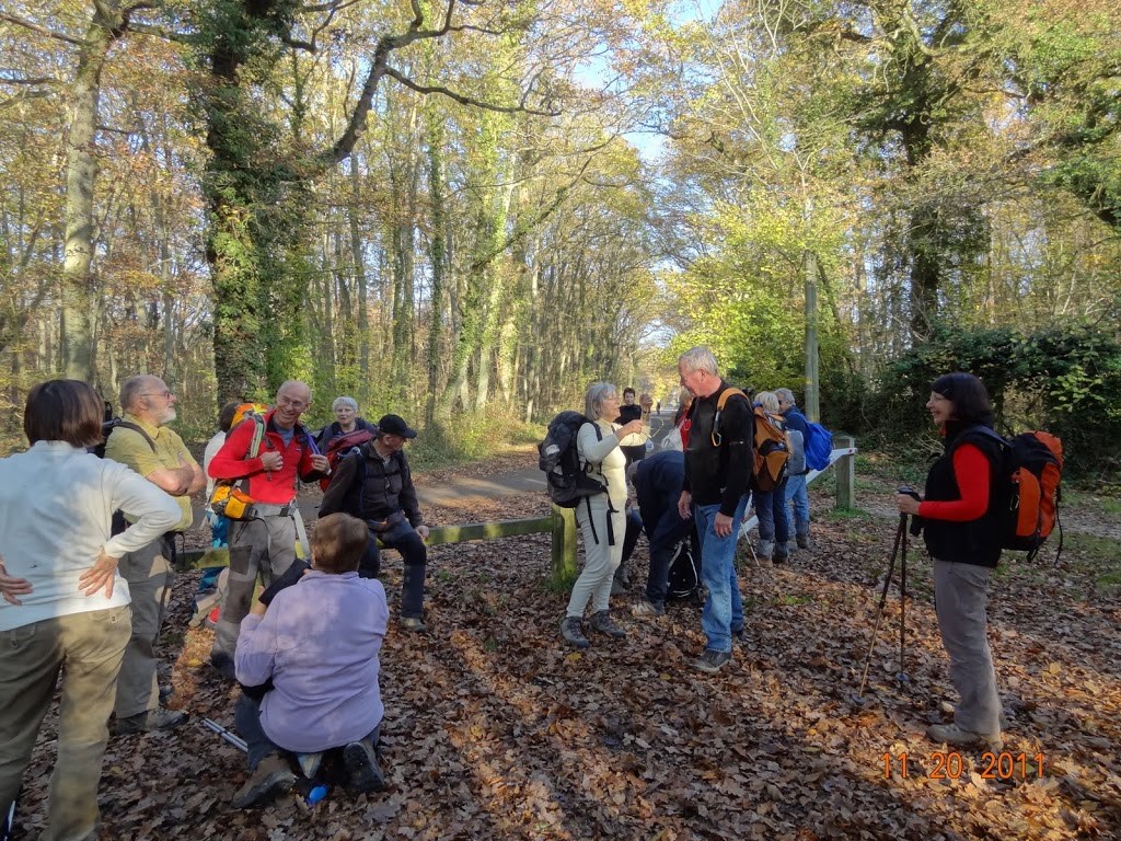 Le Bois De Rougeot, 20-11-2011