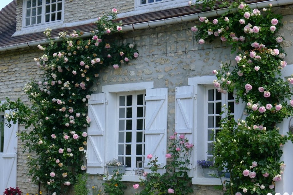 Au Nord Du Sausseron, 30-06-2013