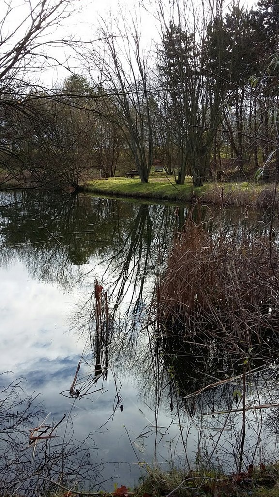 Le Parc De La Courneuve, 10-01-2016