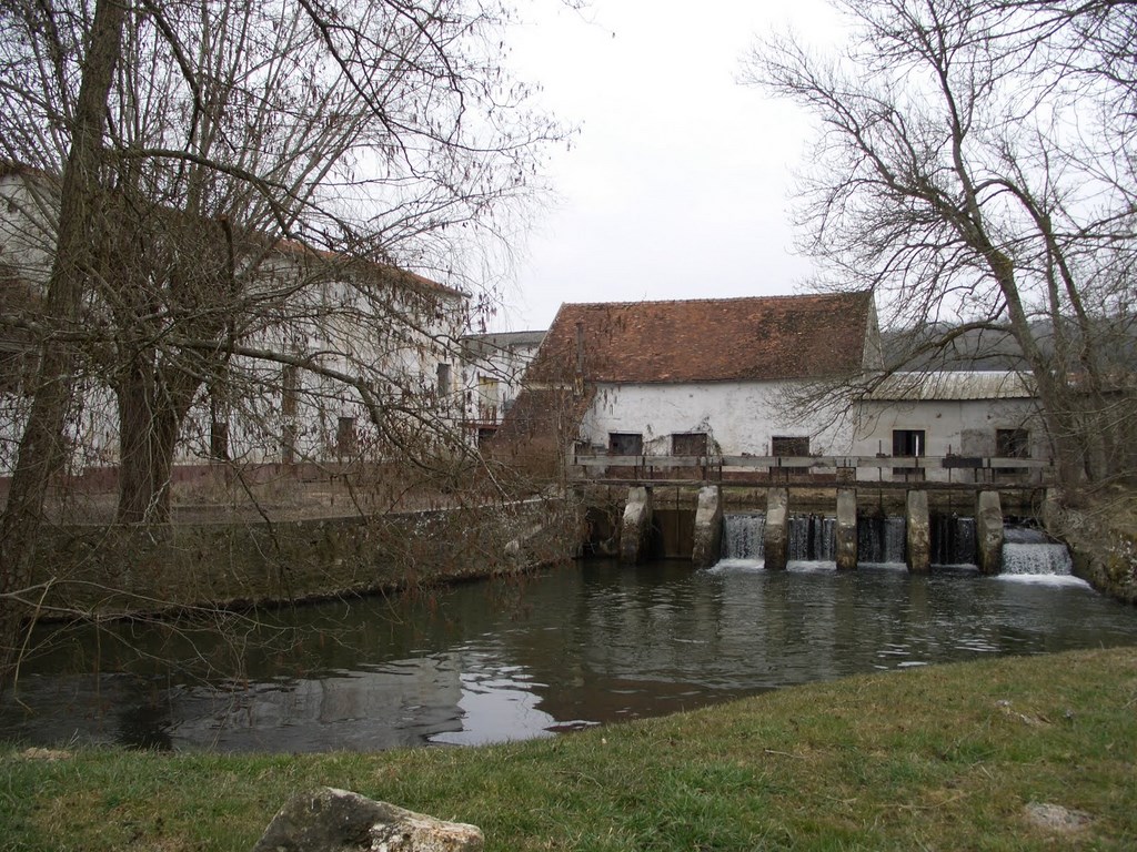 De Brie Aux Portes De La Champagne, 14-03-2010