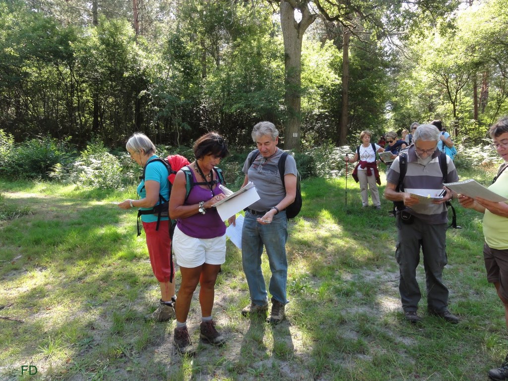 La Forêt De Compiègne, 10-09-2015