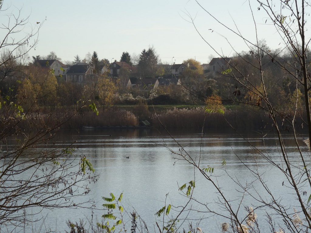 Les Étangs Du Grand Voyeux, 03-12-2015