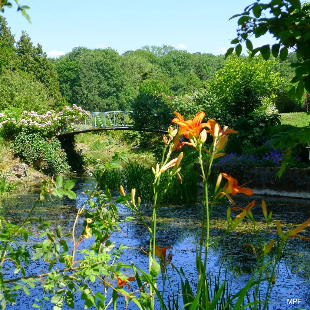 Verdelot-Les Jardins De Viels-Maisons, 26-06-2014