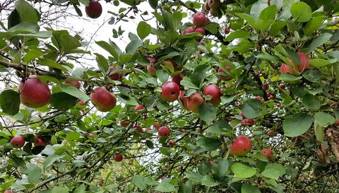 Nanteuil Les Meaux, 05-10-2017