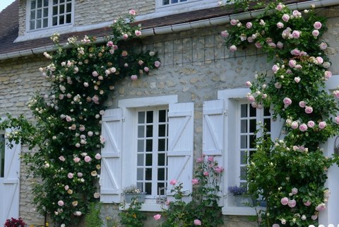 Au Nord Du Sausseron, 30-06-2013