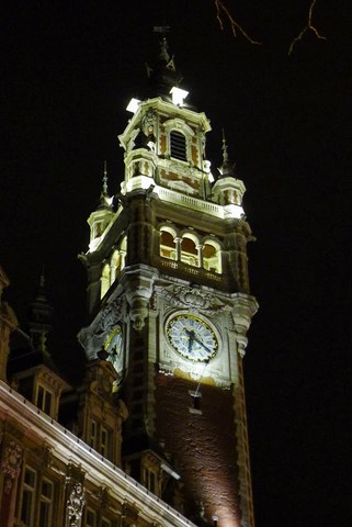 Lille Lumières Par Marie-Paule, 14-12-2013