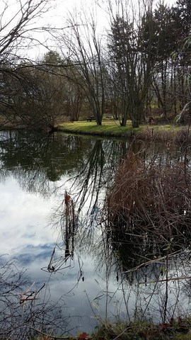 Le Parc De La Courneuve, 10-01-2016