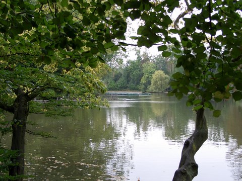 Bois De Vincennes Et Donjon, 10-09-2009