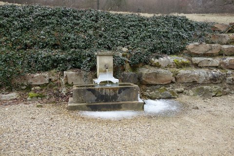 A Vau L'eau Au Marrais Du Clignon , 29-01-2017