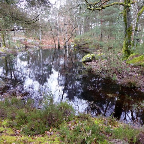 Les Plâtrières Des Béorlots Fontainebleau, 11-02-2018