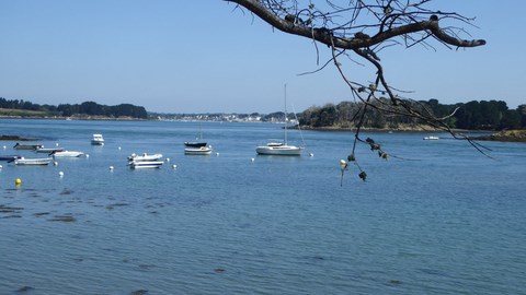 Le Golfe Du Morbihan Photos Robert, 13-06-2015