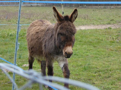 Le Grand Grippon, 20-03-2016