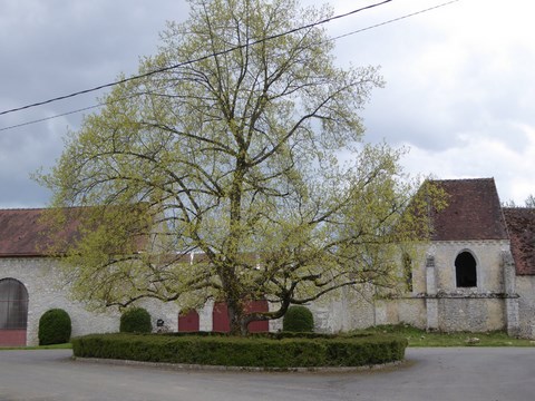 Le Circuit De Cormeaux, 17-04-2016