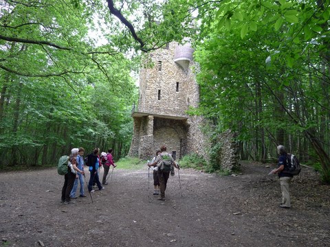 Forêt De Montmorency, 10-06-2012